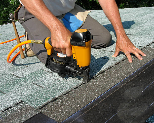 Roof Gutter Cleaning in Fairbanks, AK